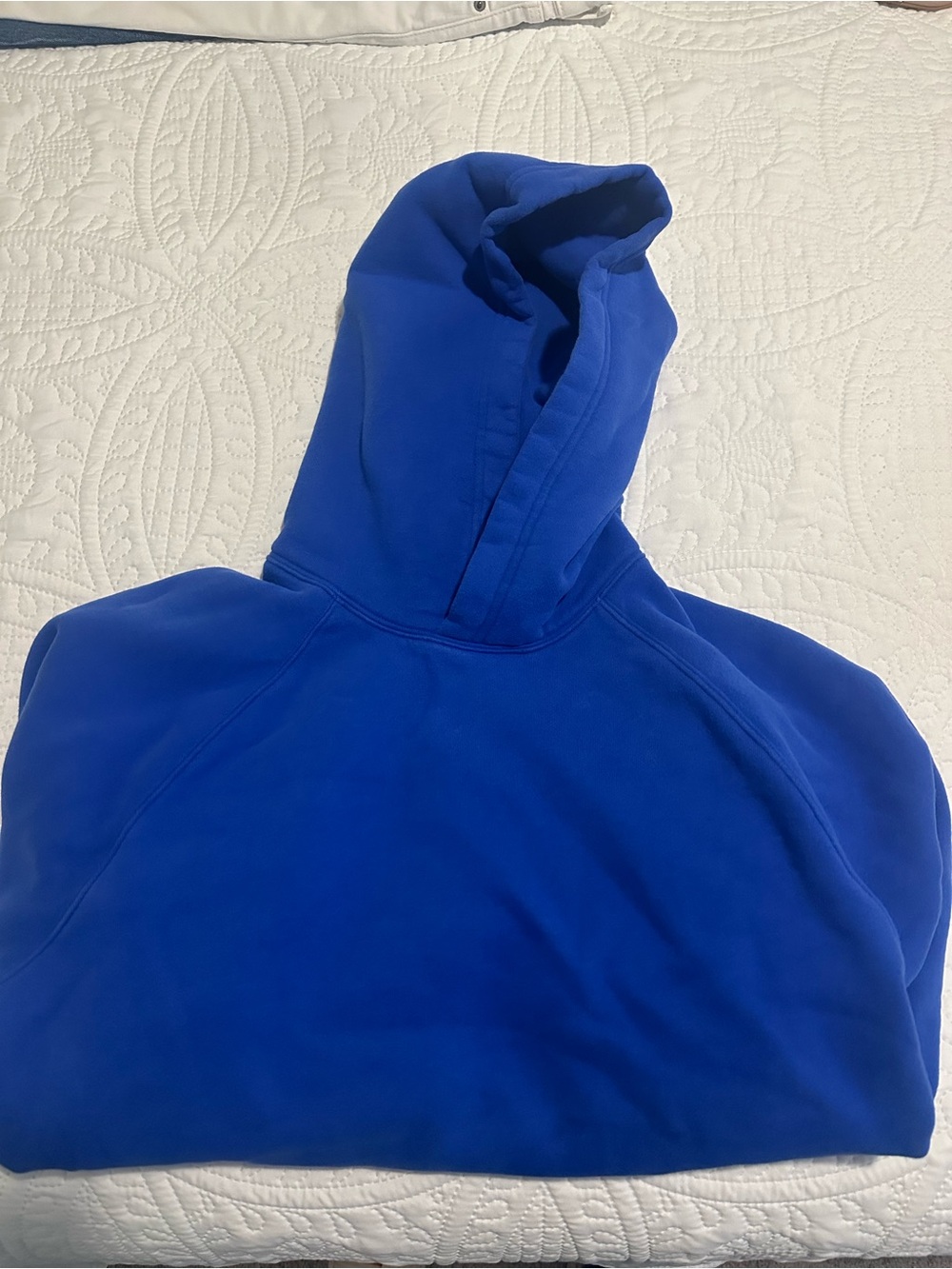 Aritzia Cozy Sweatfleece Hoodie